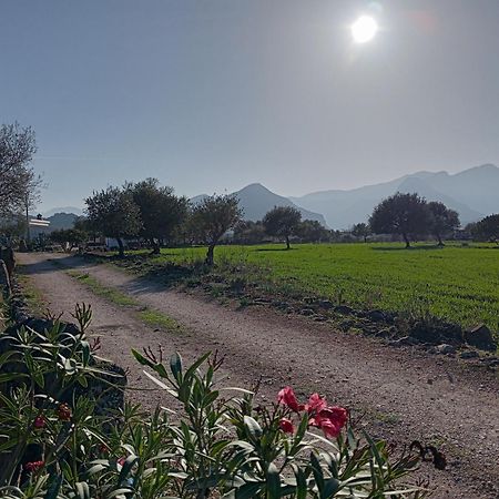 Agriturismo Sa Murta Dorgali Kültér fotó