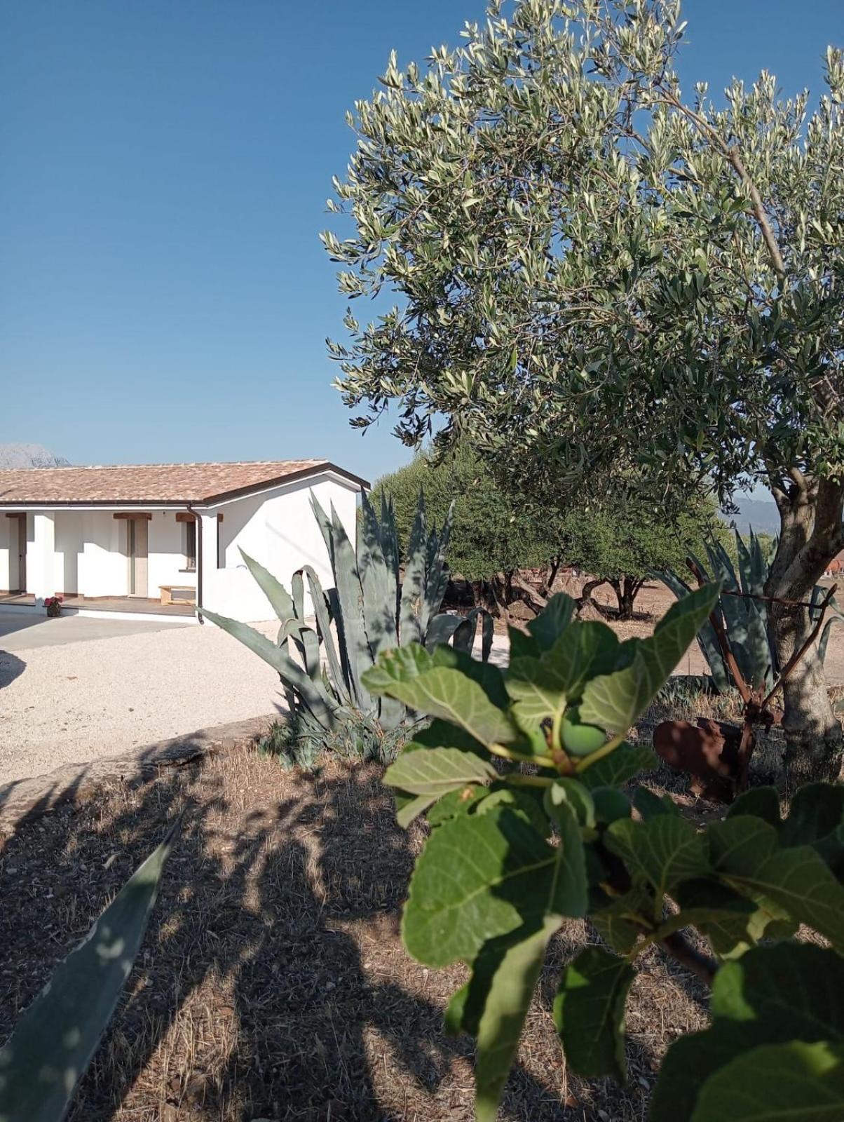 Agriturismo Sa Murta Dorgali Kültér fotó