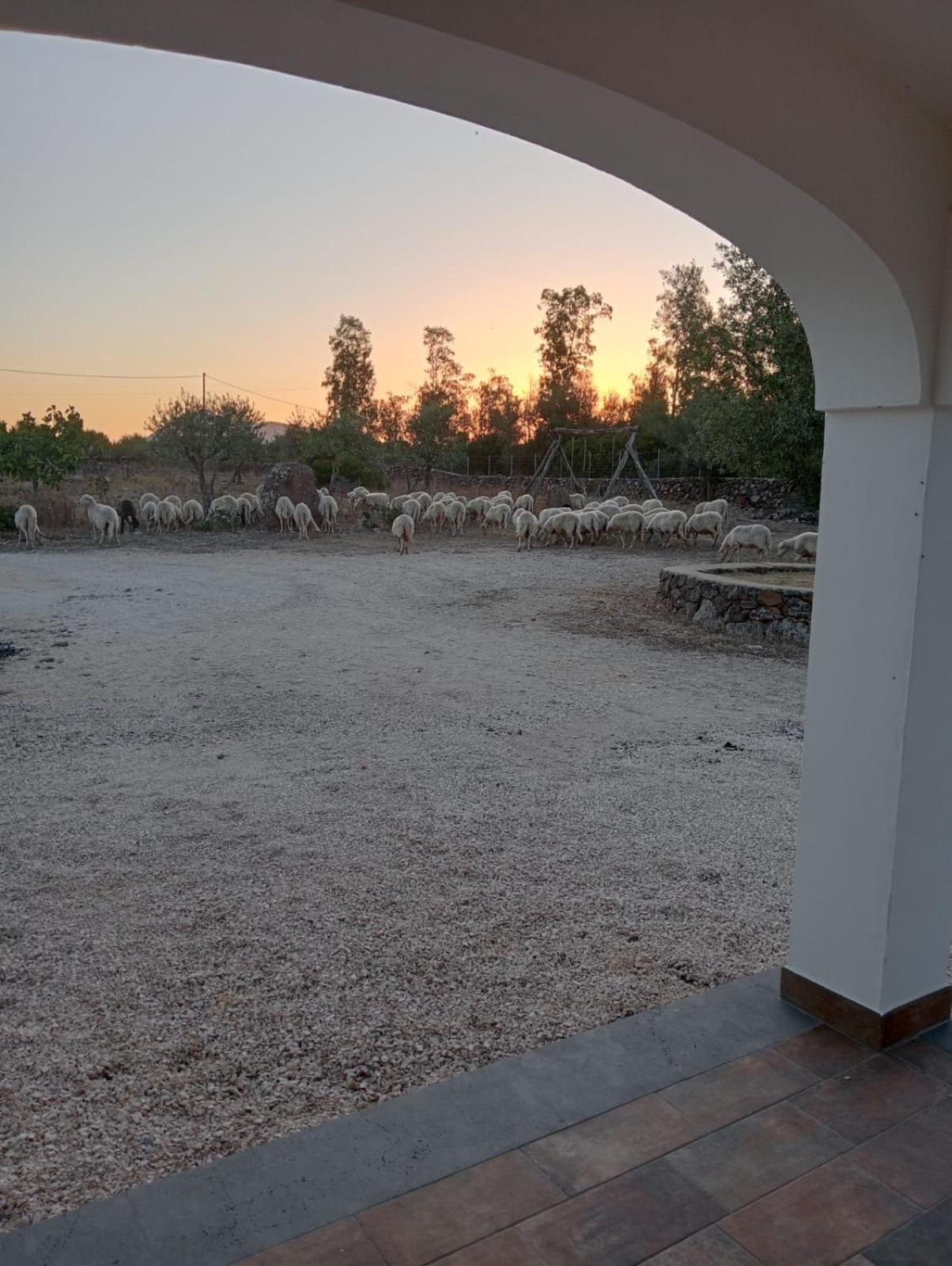 Agriturismo Sa Murta Dorgali Kültér fotó