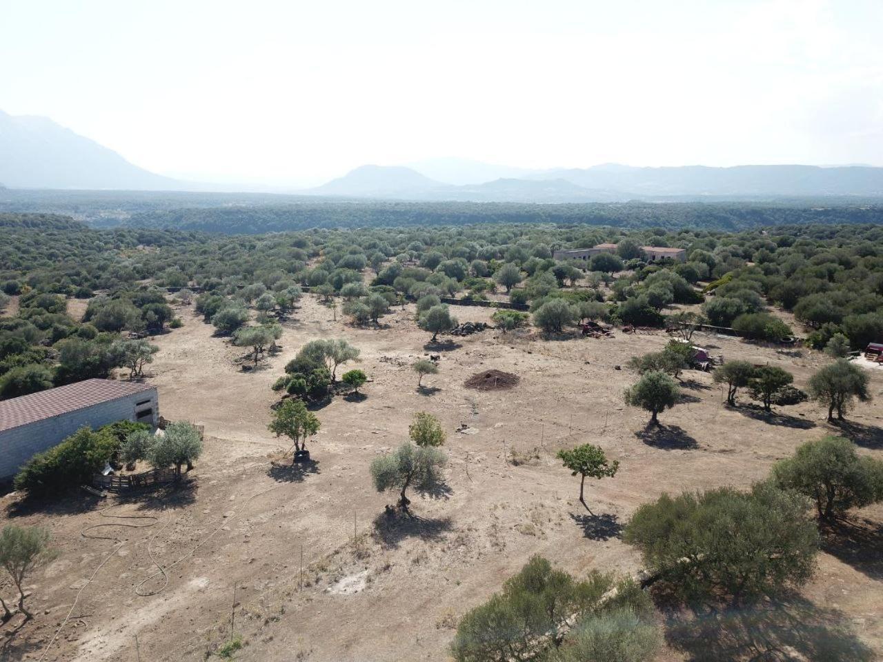 Agriturismo Sa Murta Dorgali Kültér fotó