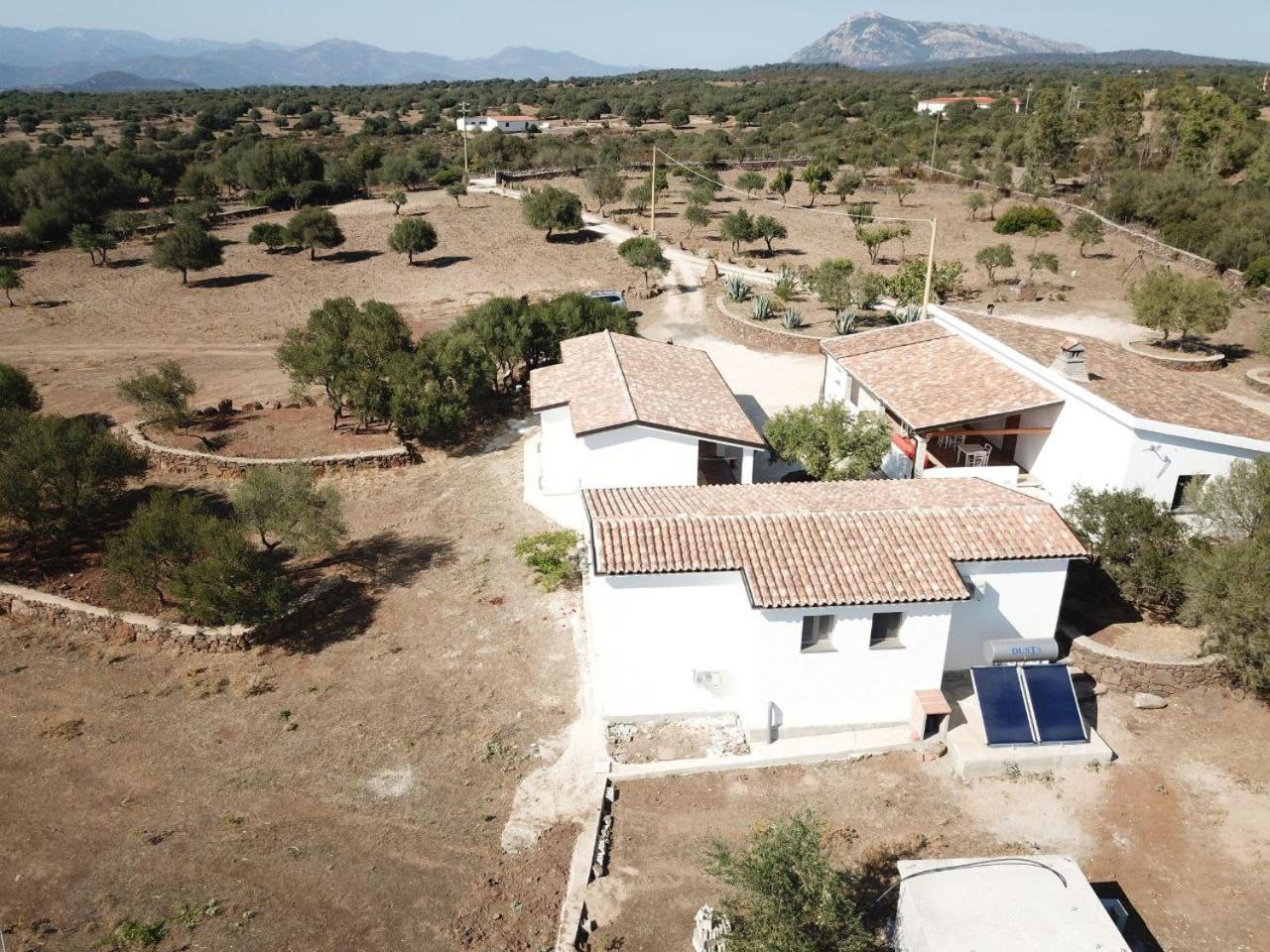 Agriturismo Sa Murta Dorgali Kültér fotó