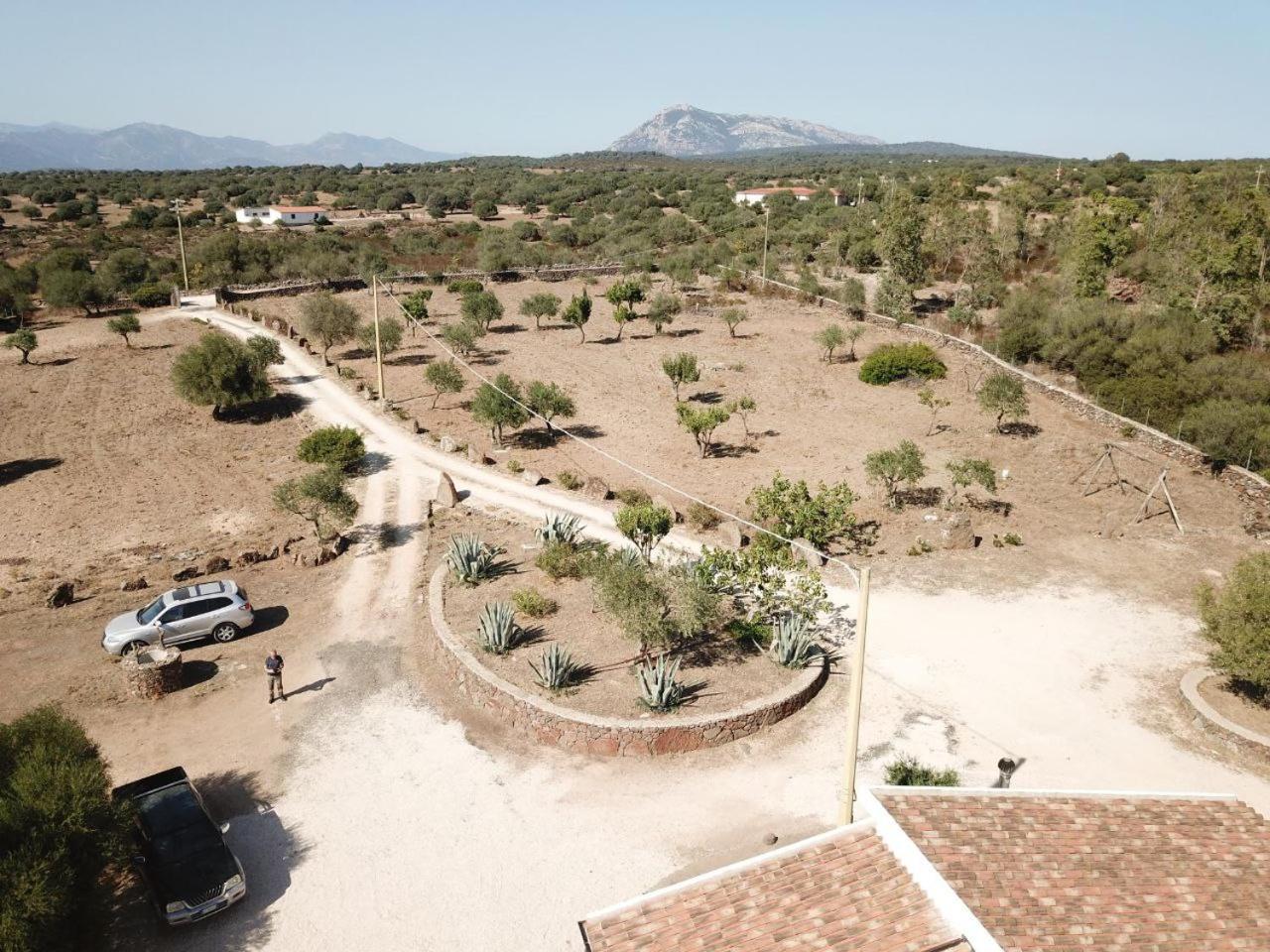 Agriturismo Sa Murta Dorgali Kültér fotó