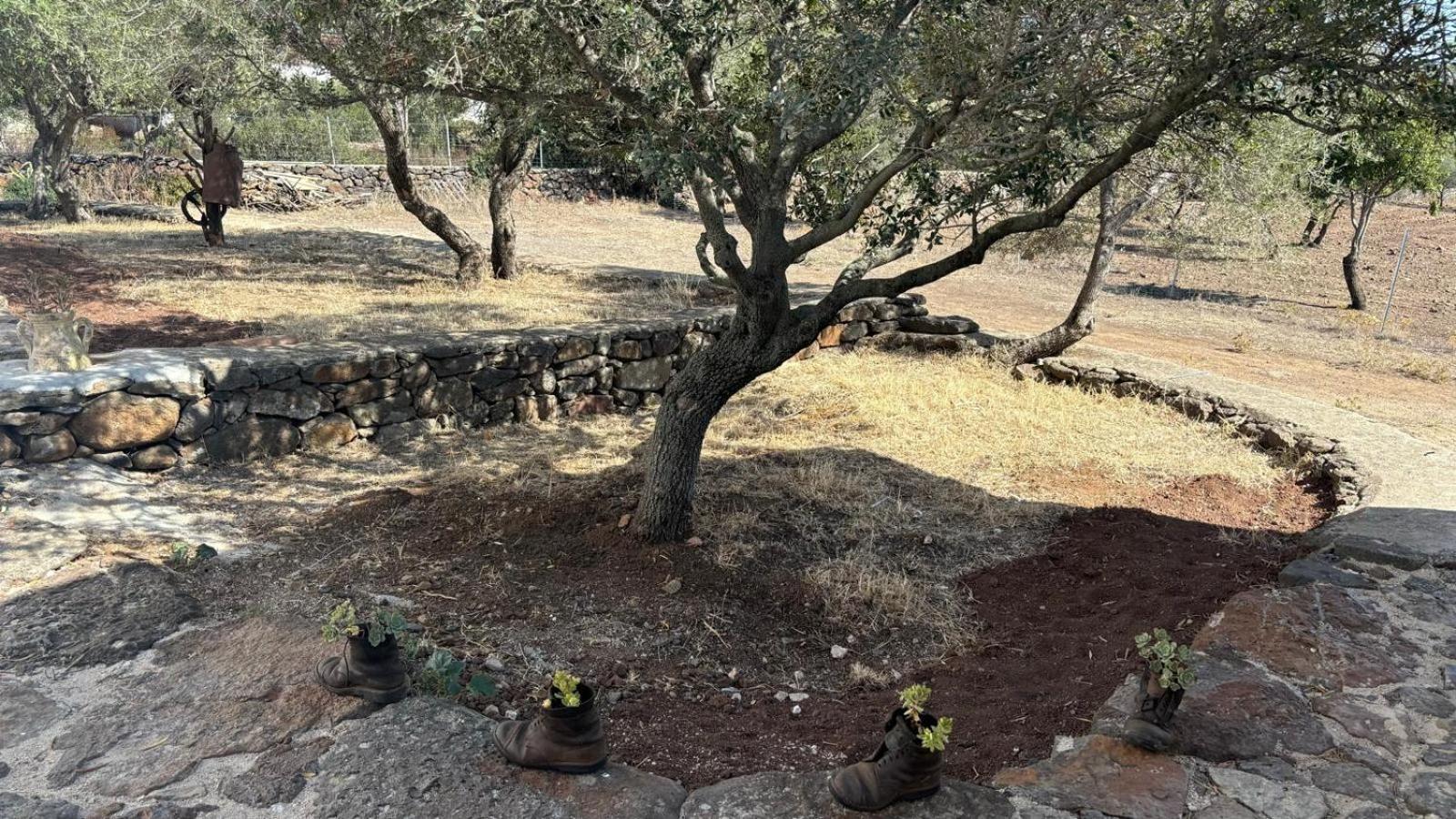 Agriturismo Sa Murta Dorgali Kültér fotó