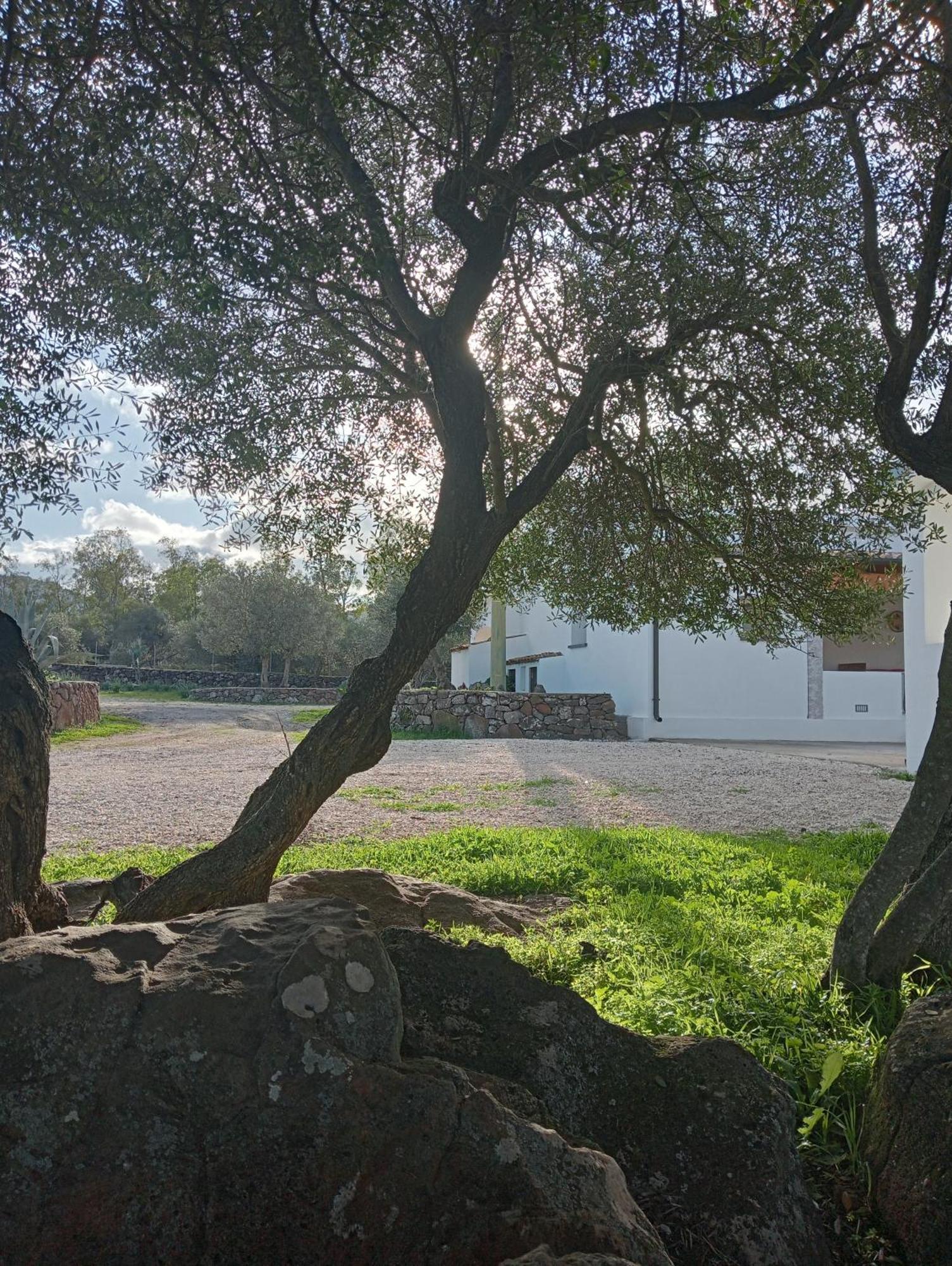 Agriturismo Sa Murta Dorgali Kültér fotó