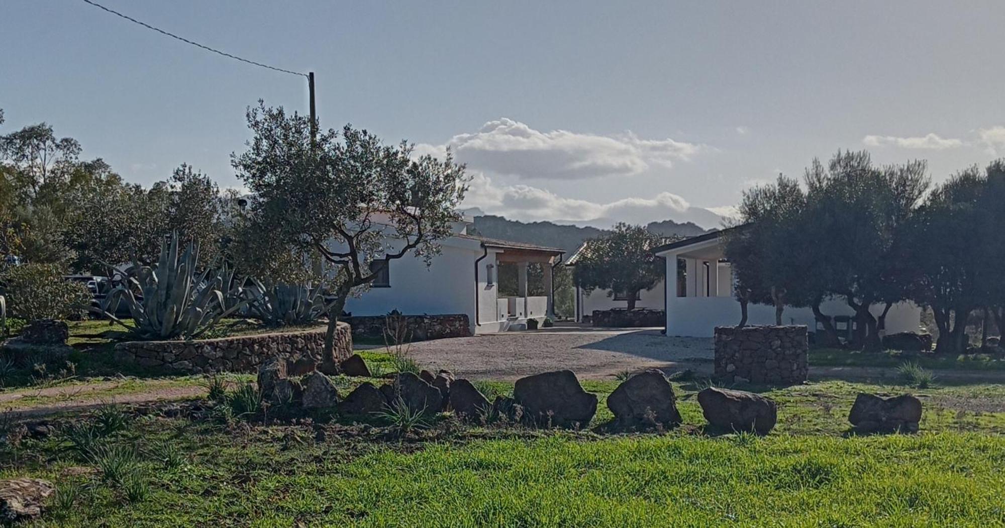 Agriturismo Sa Murta Dorgali Kültér fotó