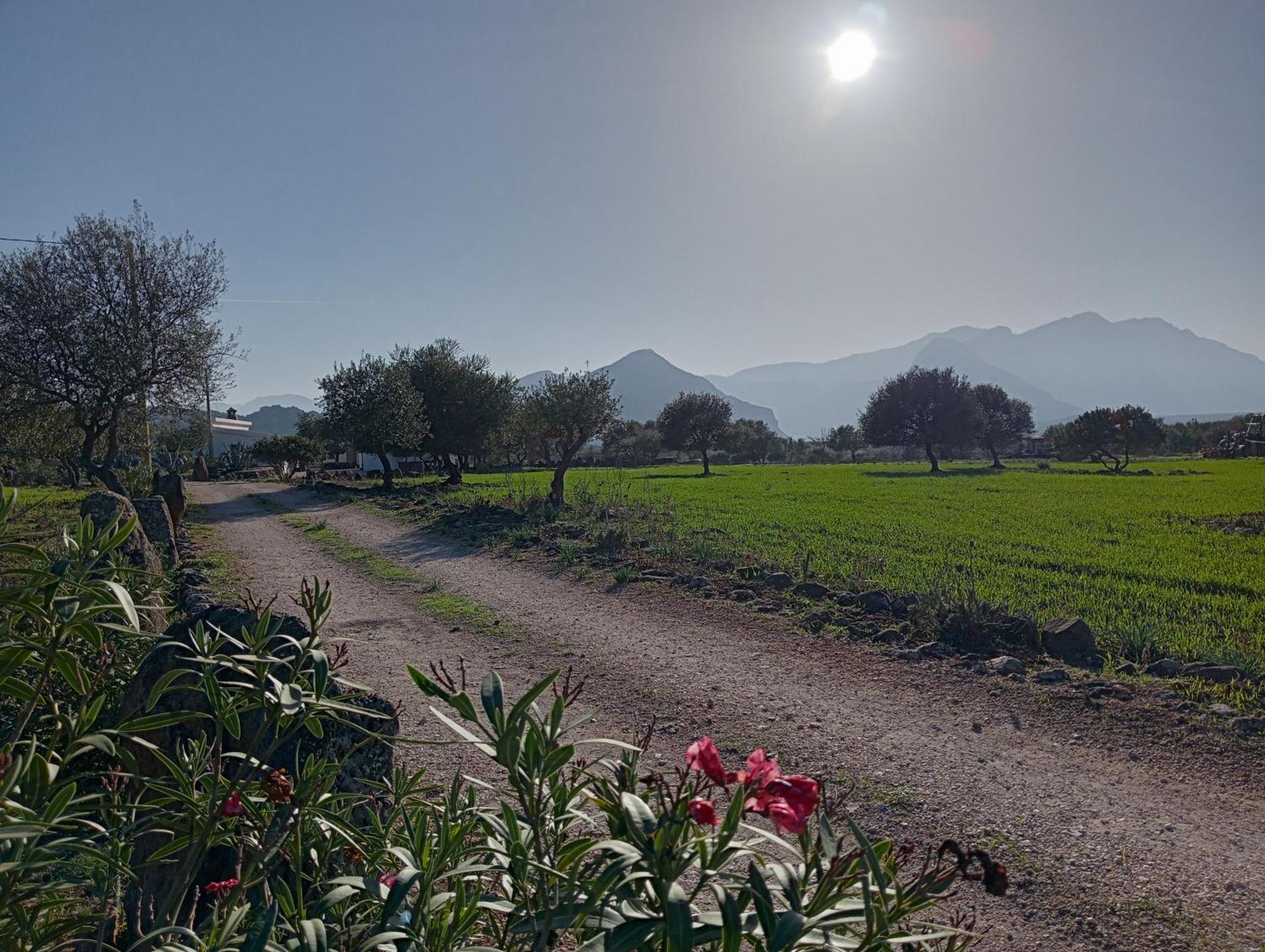 Agriturismo Sa Murta Dorgali Kültér fotó