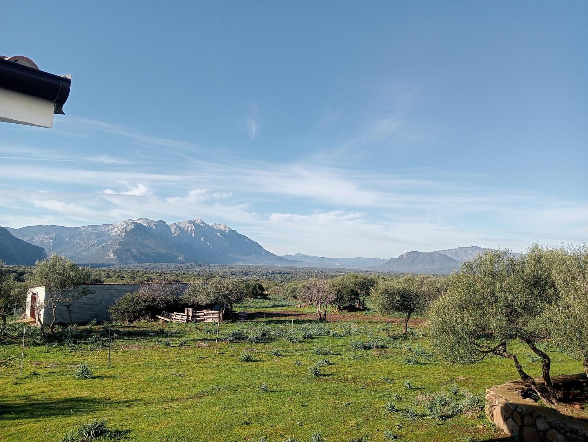 Agriturismo Sa Murta Dorgali Kültér fotó