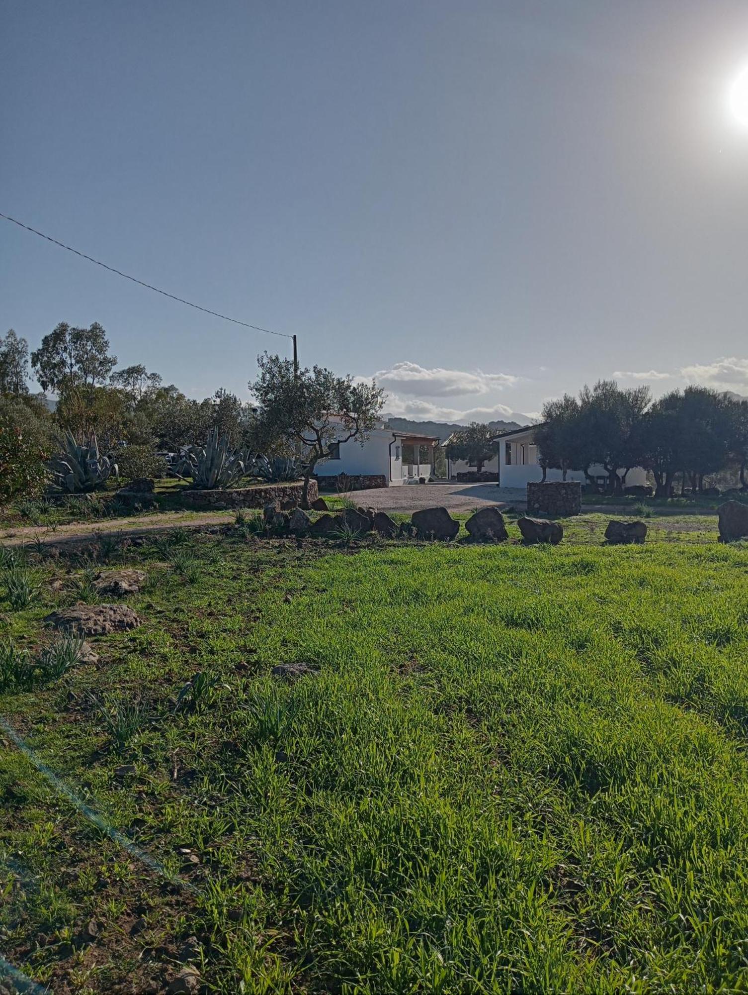 Agriturismo Sa Murta Dorgali Kültér fotó